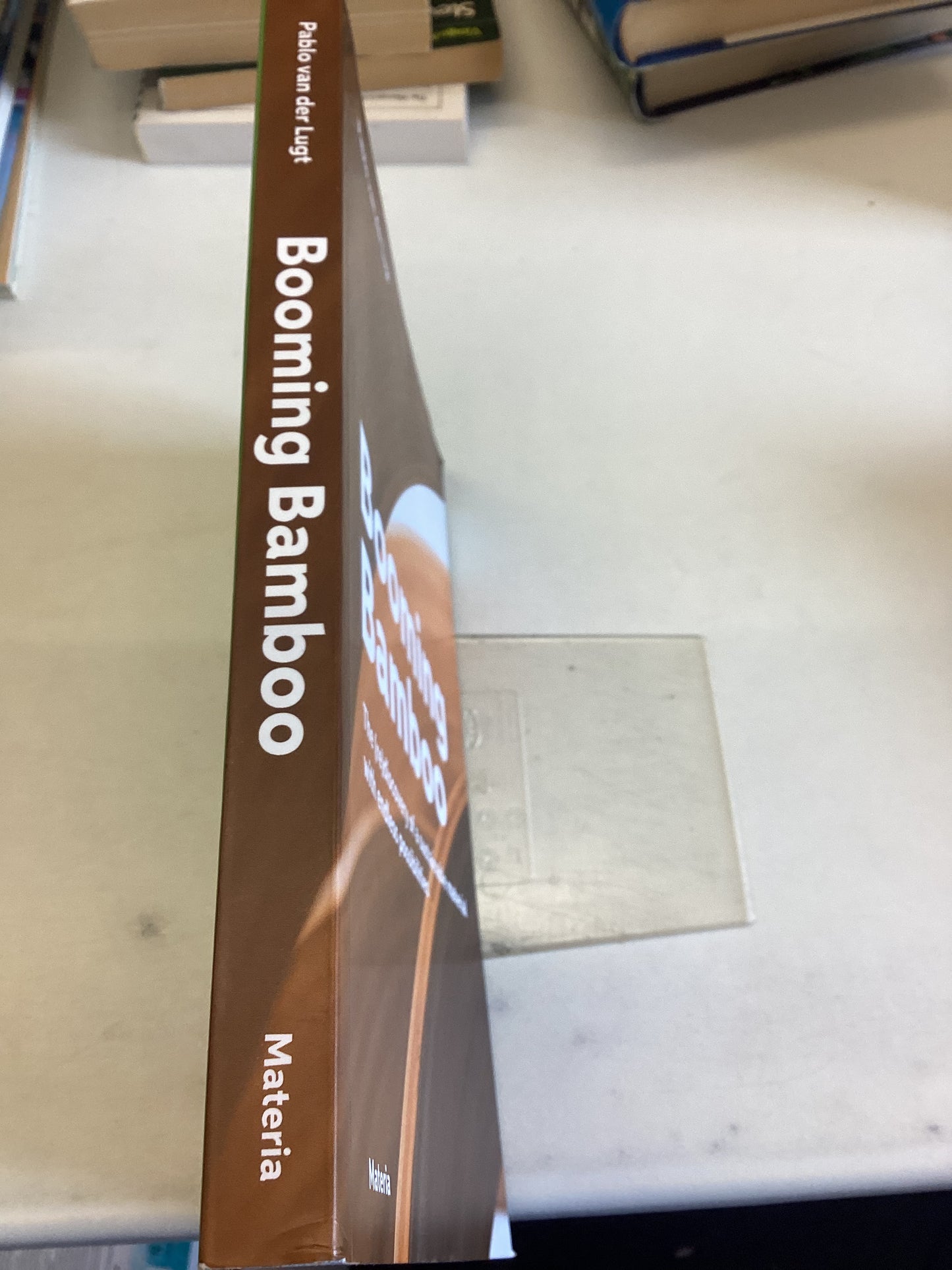 Booming Bamboo The (re)Discovery of a Sustainable Material With Endless Possibilities Pable Van Der Lugt