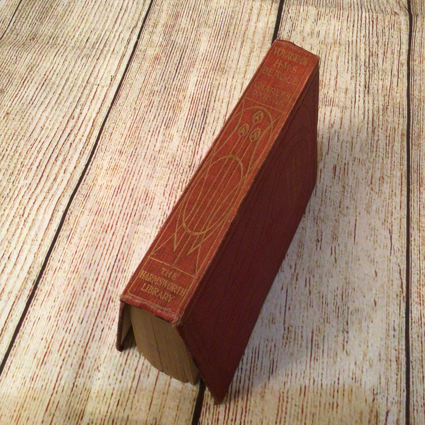 The Voyage of the Beagle by Charles Darwin (1905, Amalgamated Press)