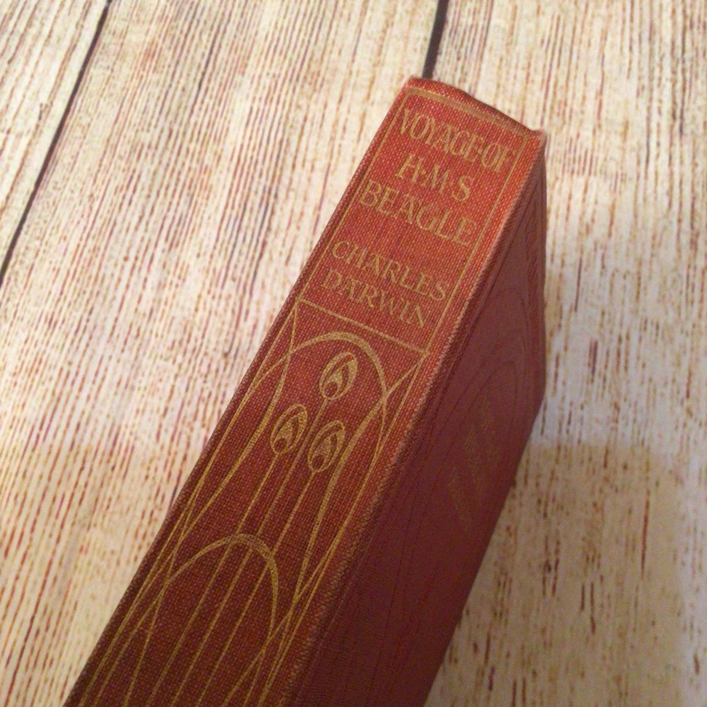 The Voyage of the Beagle by Charles Darwin (1905, Amalgamated Press)