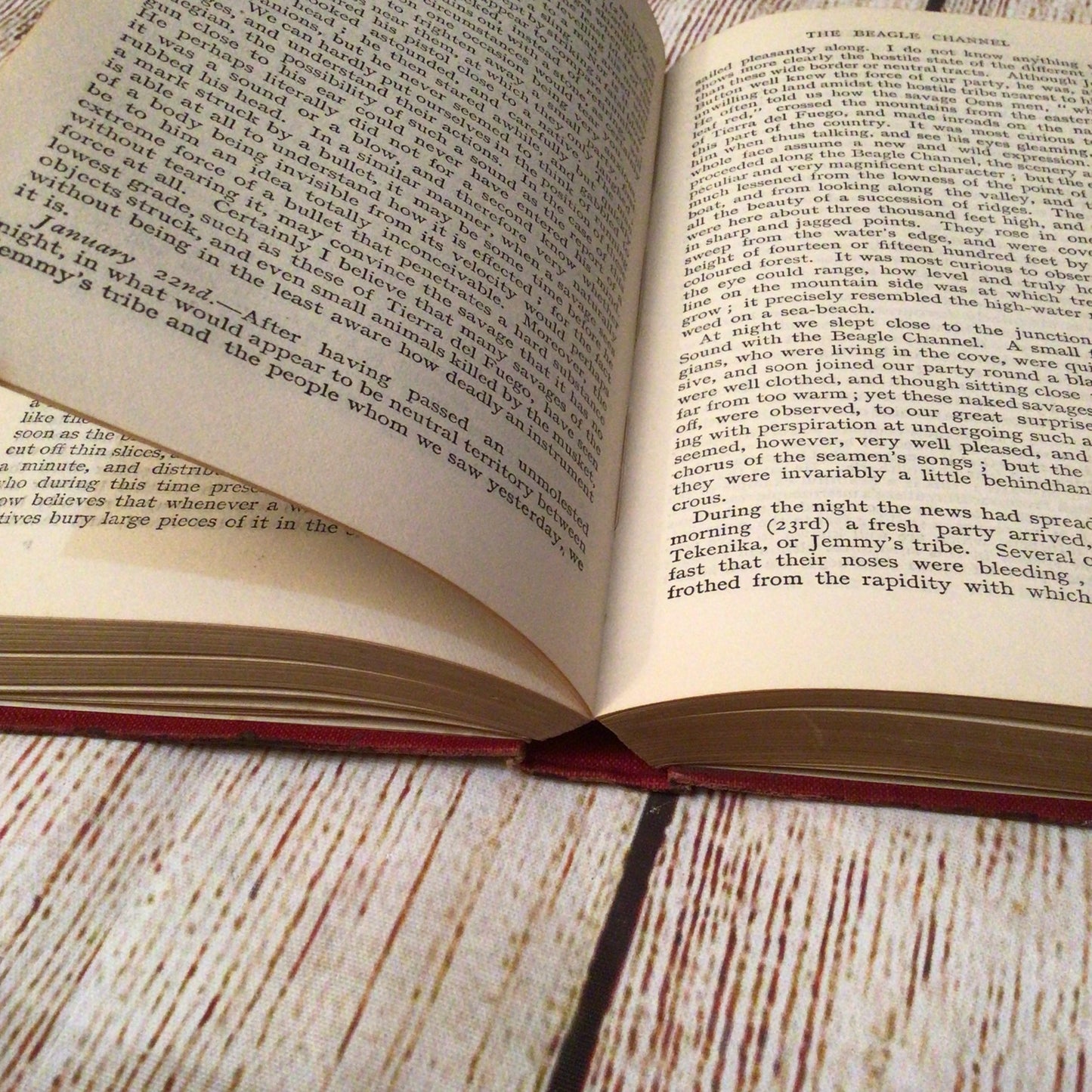 The Voyage of the Beagle by Charles Darwin (1905, Amalgamated Press)