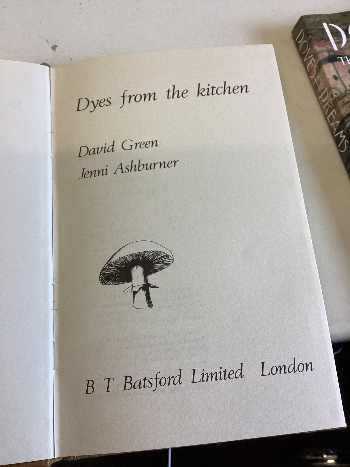 Dyes From The Kitchen David Green Jenni Ashburner