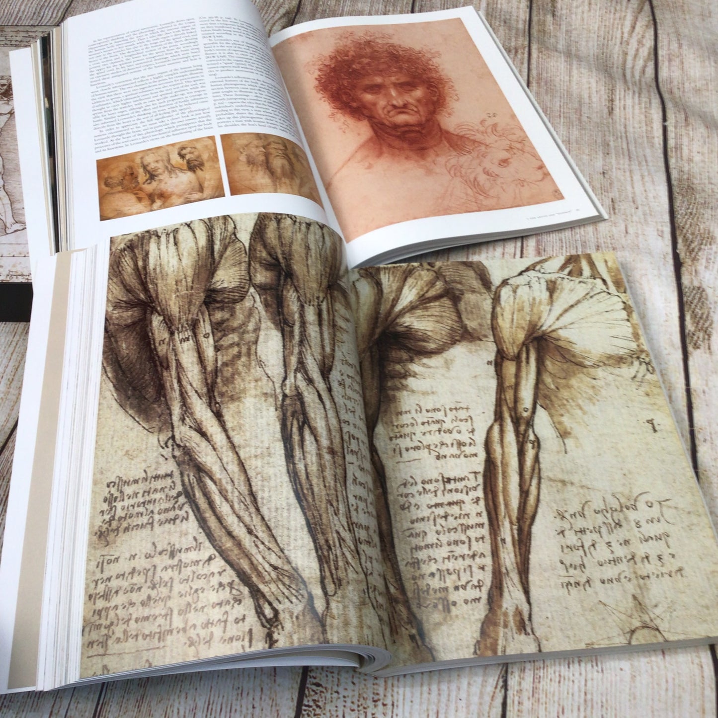 Leonardo da Vinci: The Complete Paintings & Drawings by Frank Zöllner (2003)