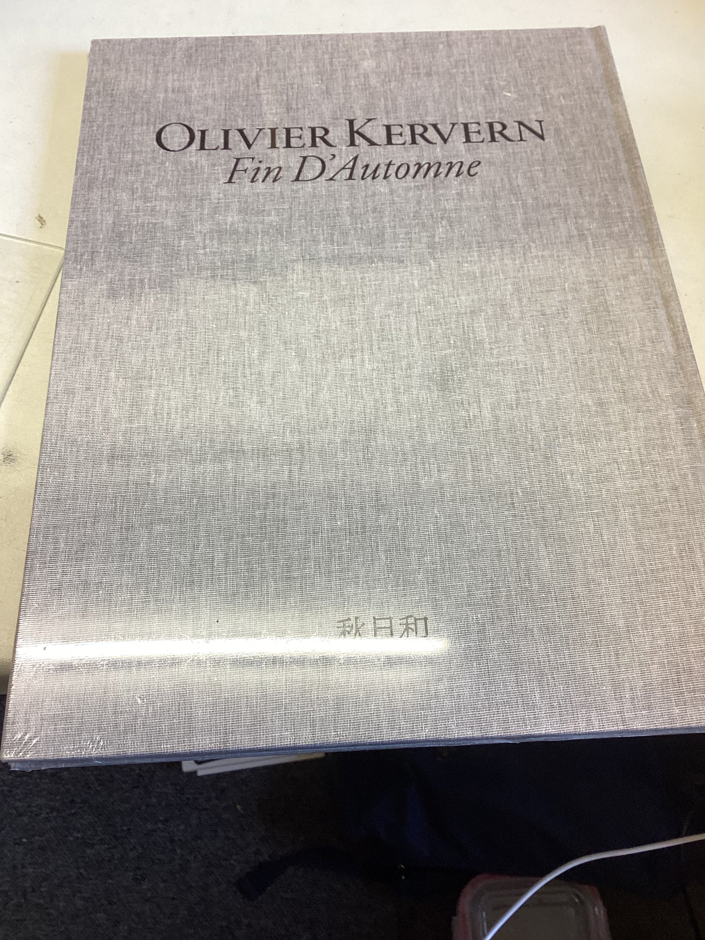 Fin D'Automne Olivier Kervern
