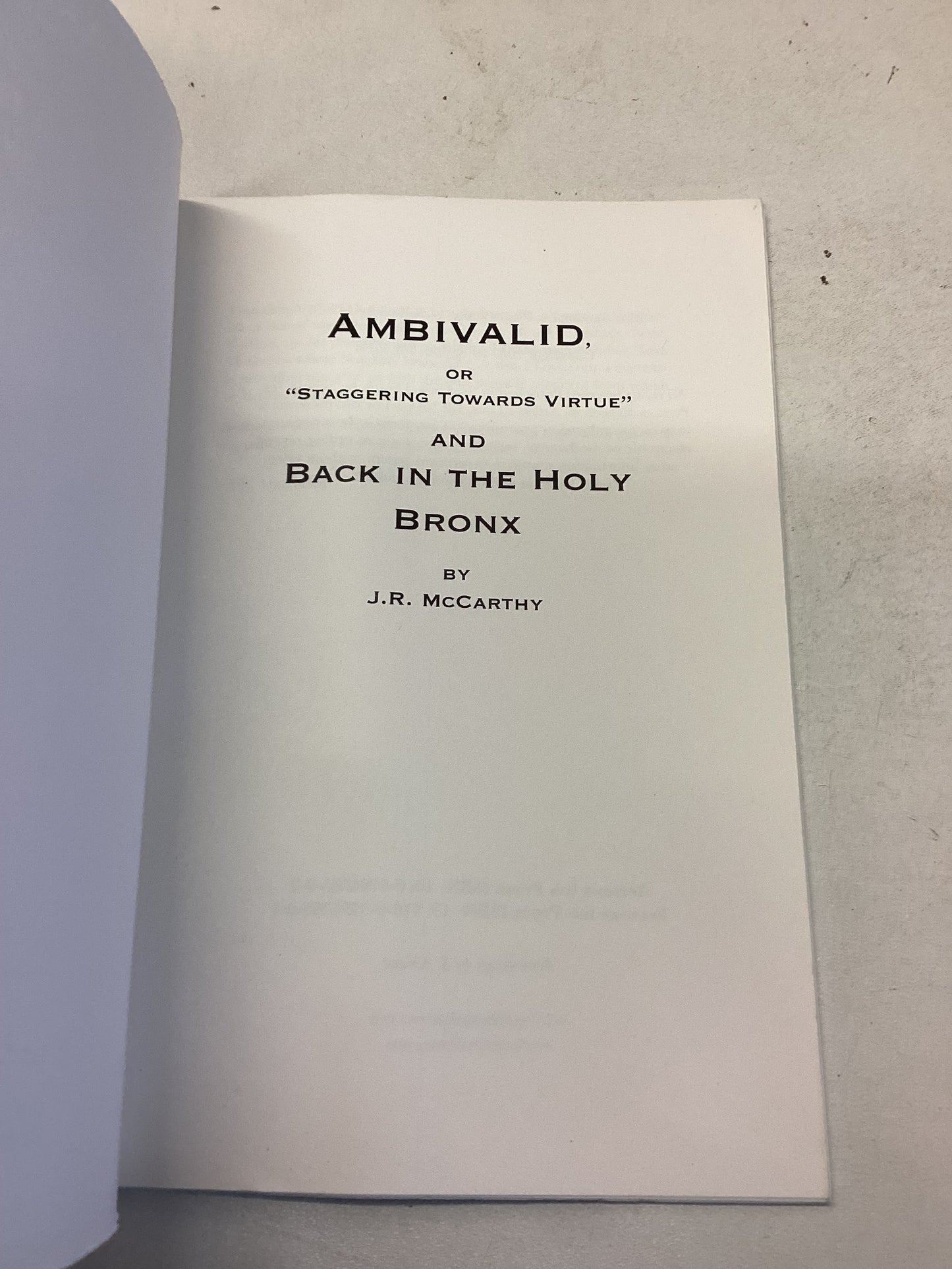 Ambivalid  or Staggering Towards Virtue and Back in The Holy Bronx J R McCarthy