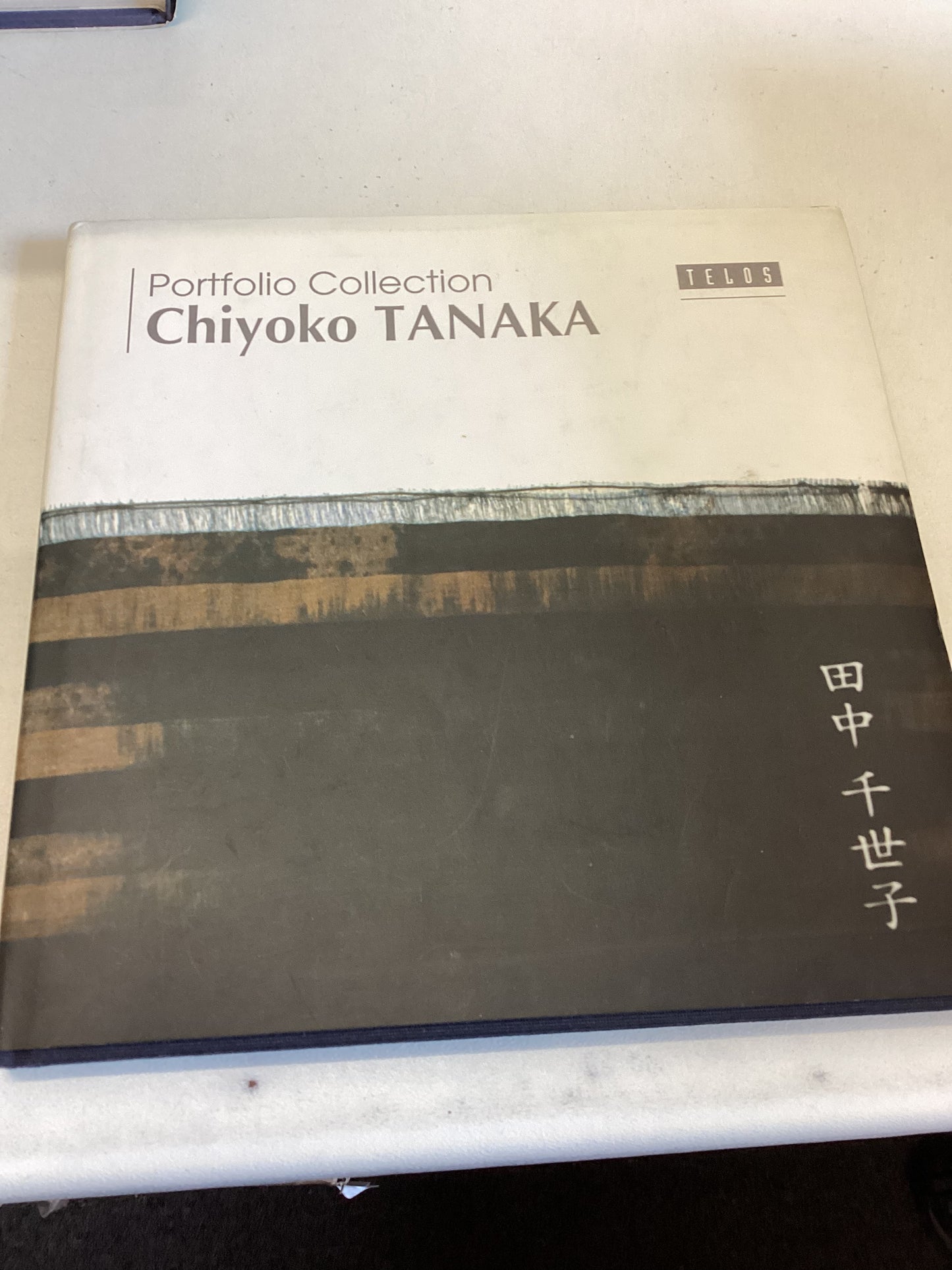 Chiyoko Tanaka Portfolio Collection Volume 12
