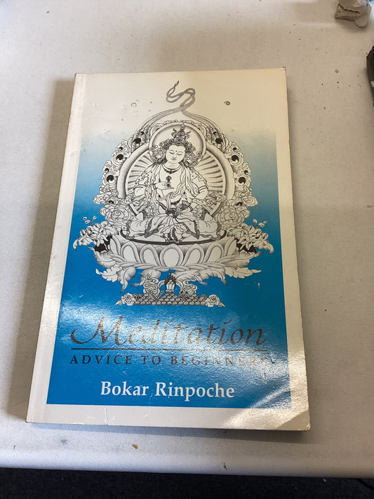 Meditation Advice To Beginners Bokar Rinpoche