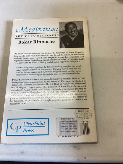 Meditation Advice To Beginners Bokar Rinpoche