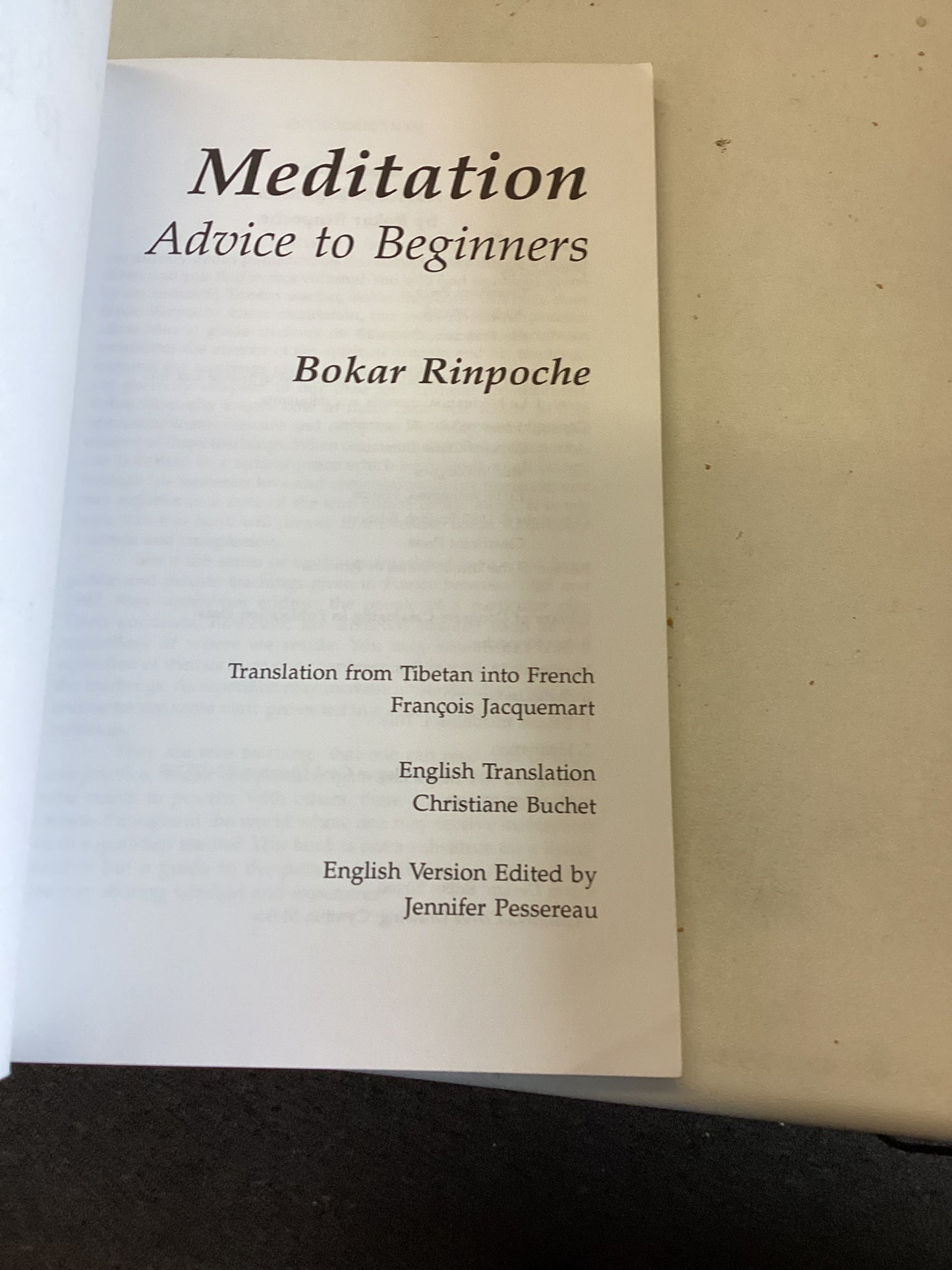 Meditation Advice To Beginners Bokar Rinpoche