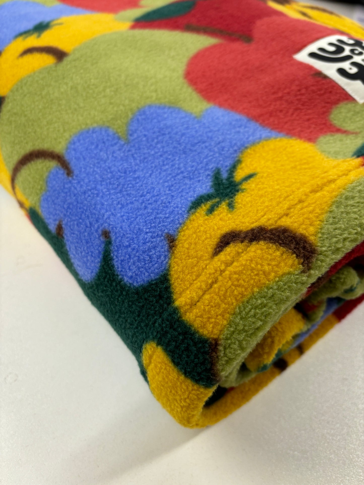 Lucy & Yak Fleece Blanket RECYCLED BOTTLES Fruity Shop for Shelter