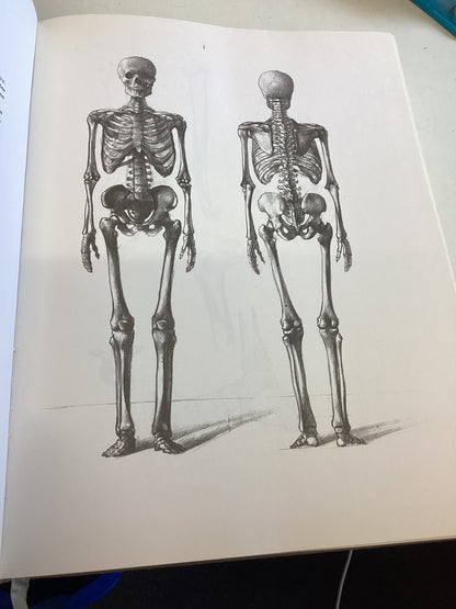 Jeno Barcsay Anatomie Artistique De L'Homme
