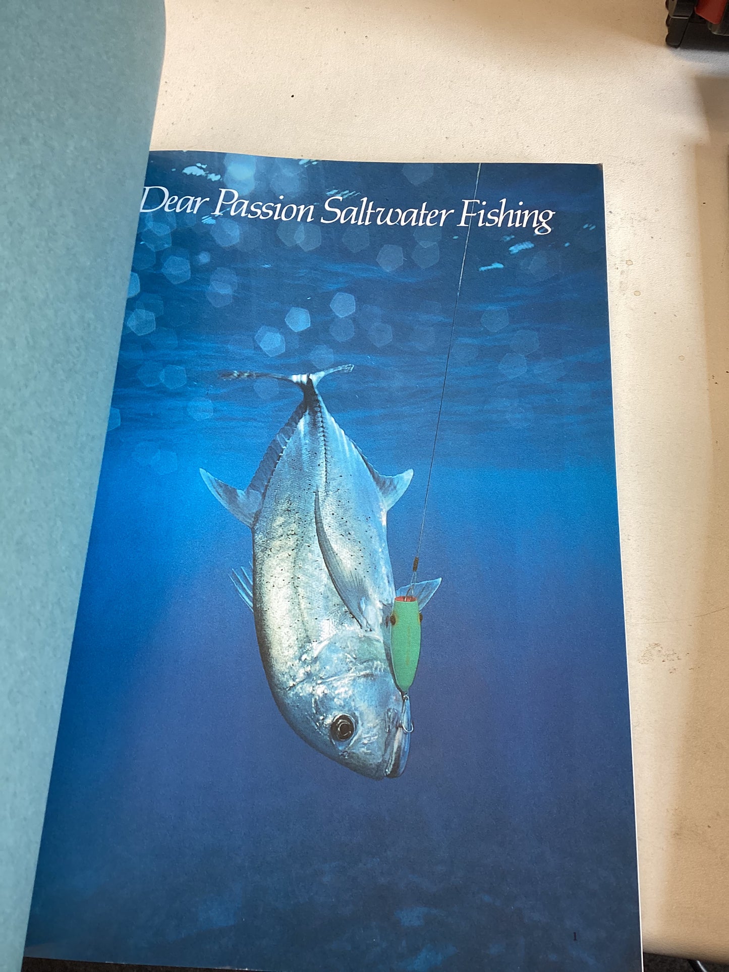 Dear Passion Saltwater Fishing