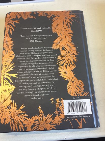 Infinite Ground Martin MacInnes Signed