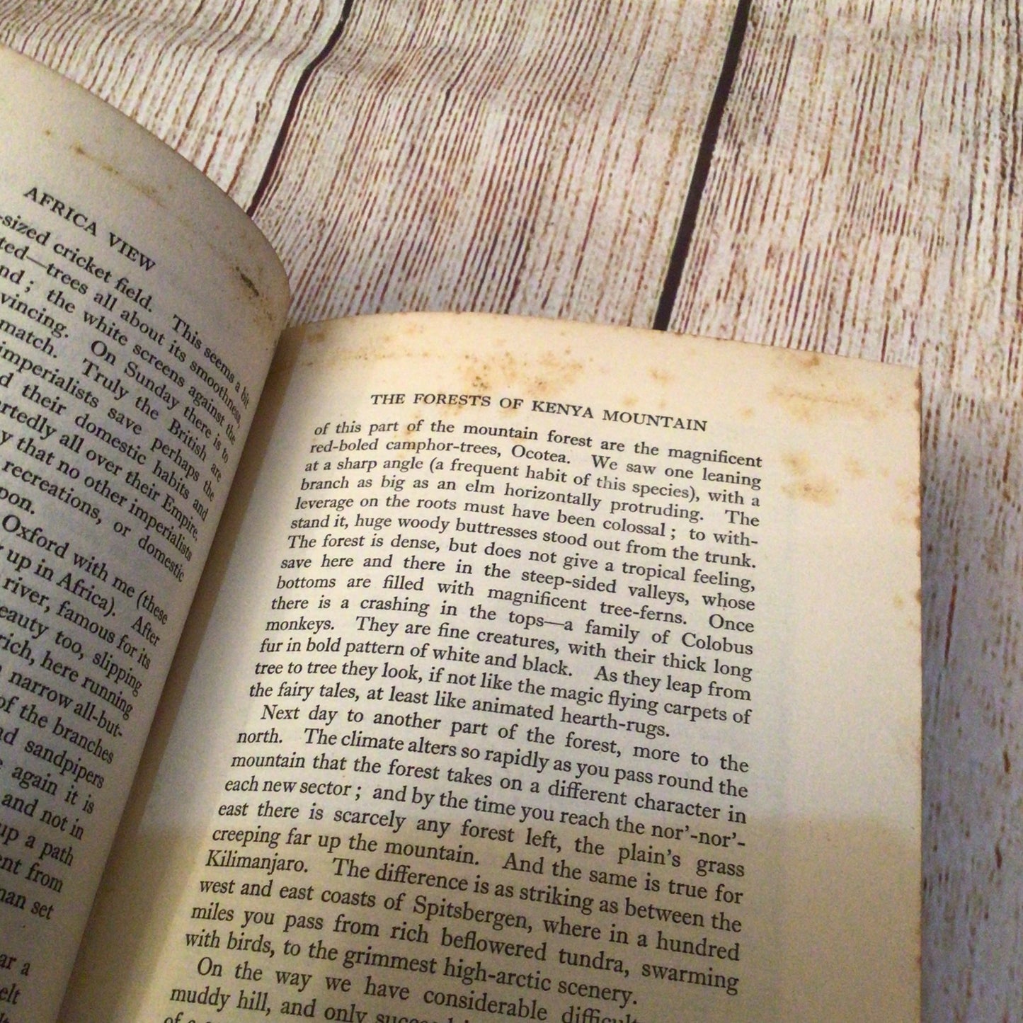 Africa View by Julian Huxley (1931, Chatto & Windus)