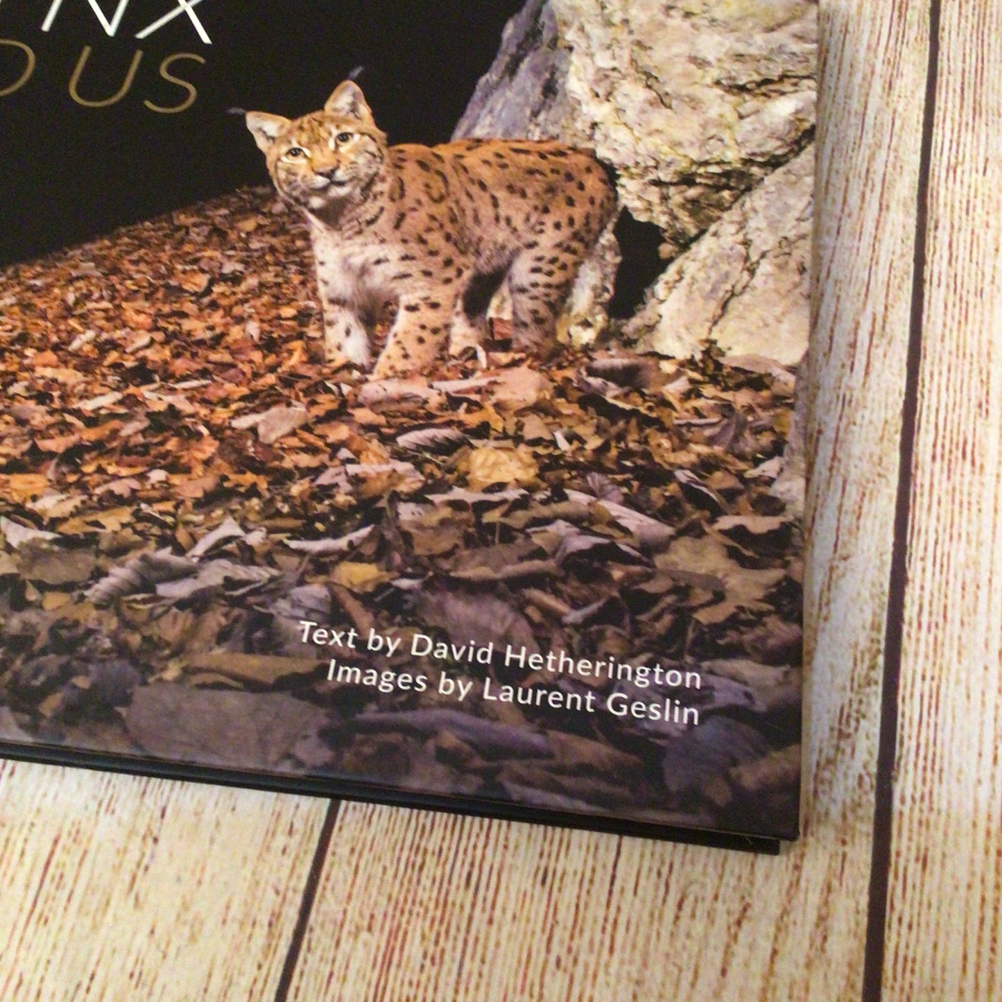 The Lynx & Us (2018, Scotland The Big Picture) 9780956842329