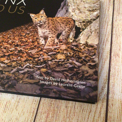 The Lynx & Us (2018, Scotland The Big Picture) 9780956842329