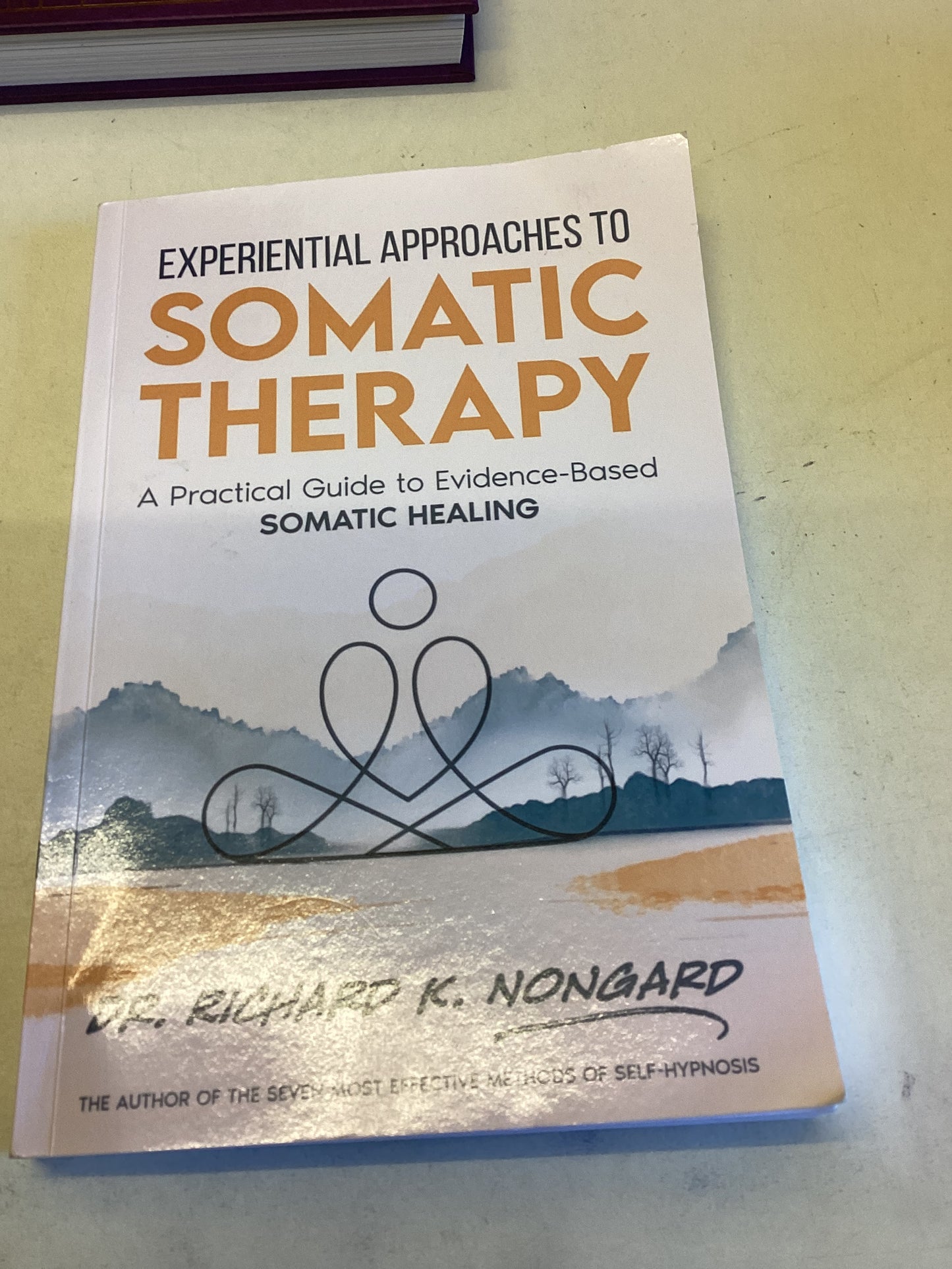 Experiential Approaches To Somatic Therapy A Practical Guide To Evidence Based Somatic Healing
