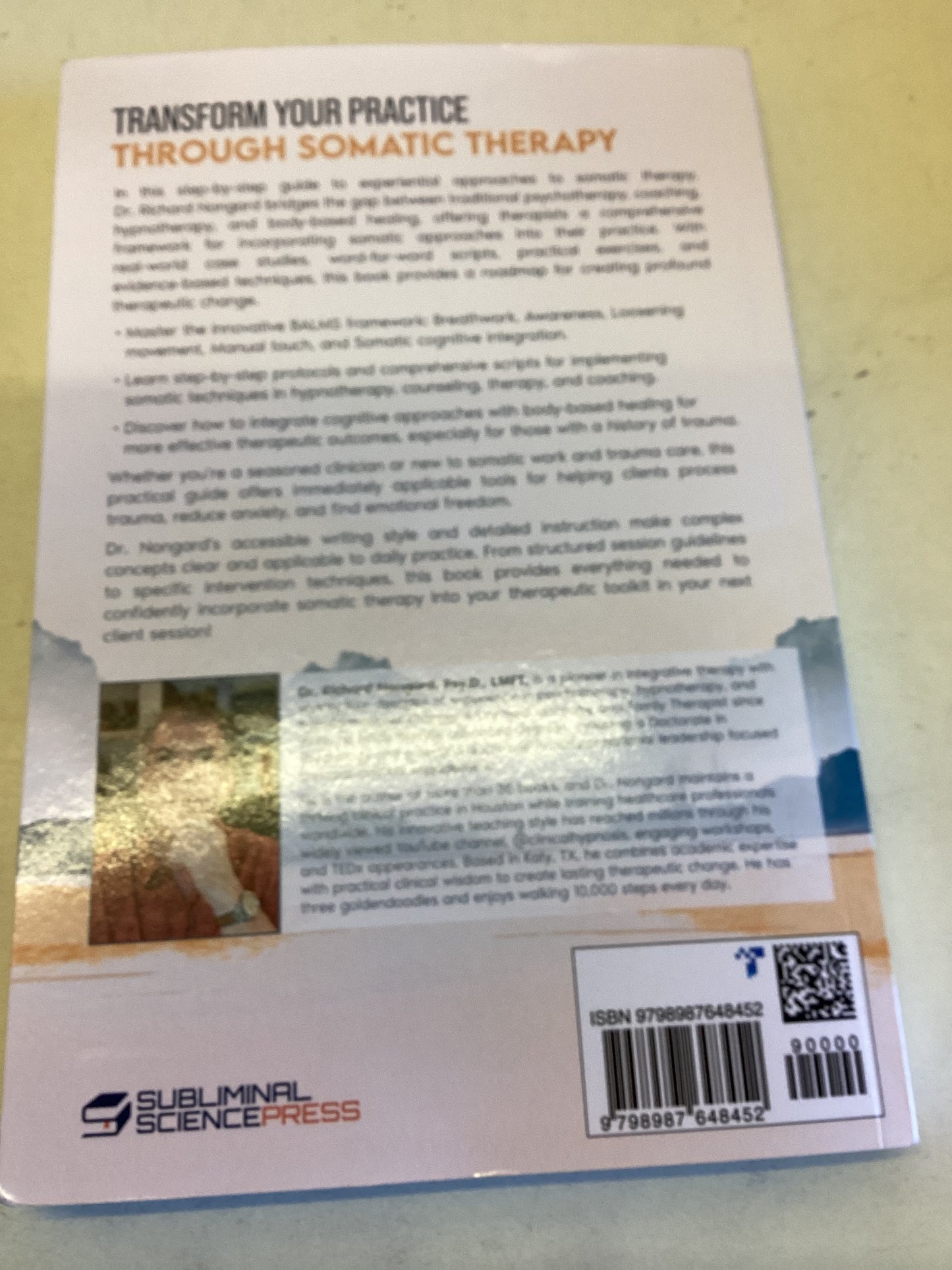 Experiential Approaches To Somatic Therapy A Practical Guide To Evidence Based Somatic Healing