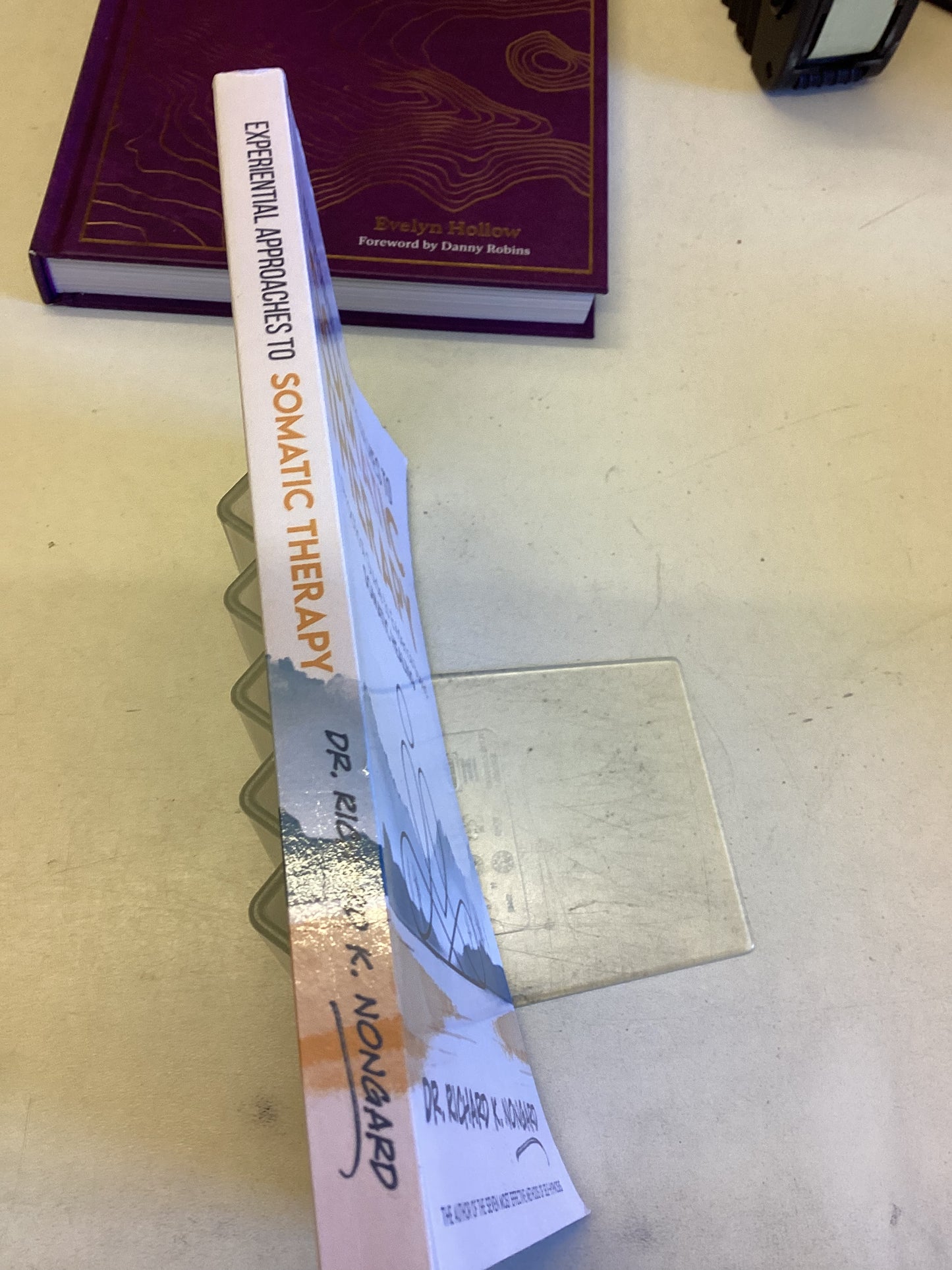 Experiential Approaches To Somatic Therapy A Practical Guide To Evidence Based Somatic Healing