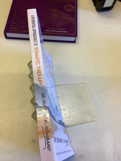 Experiential Approaches To Somatic Therapy A Practical Guide To Evidence Based Somatic Healing