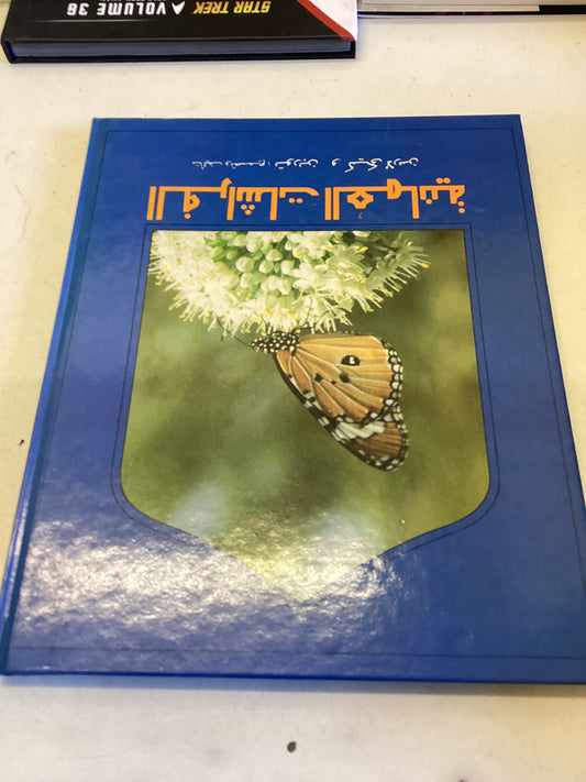 Butterflies of Oman Torben and Kiki Larsen