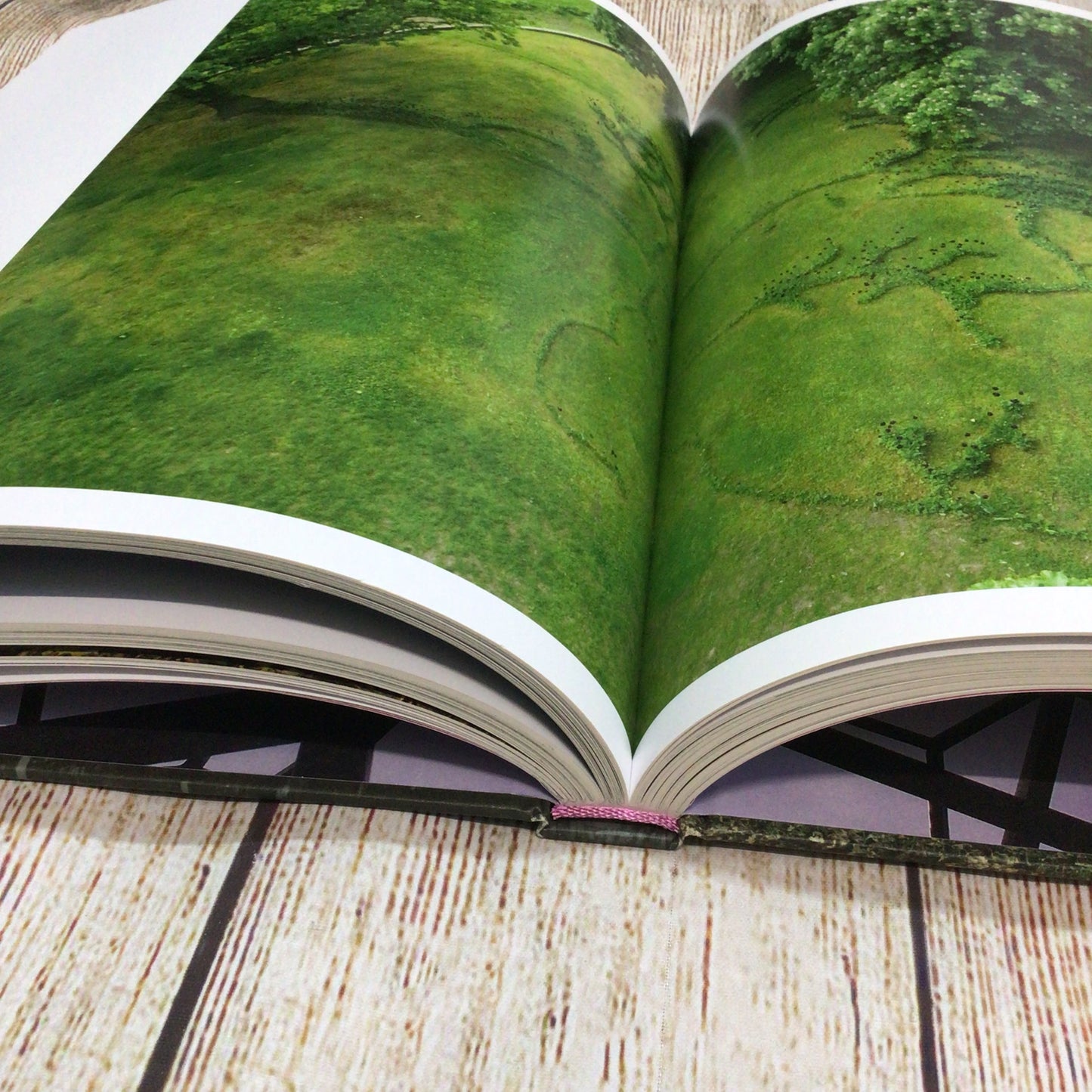 The Generous Landscape: Ten Years of Jupiter Artland (2018)