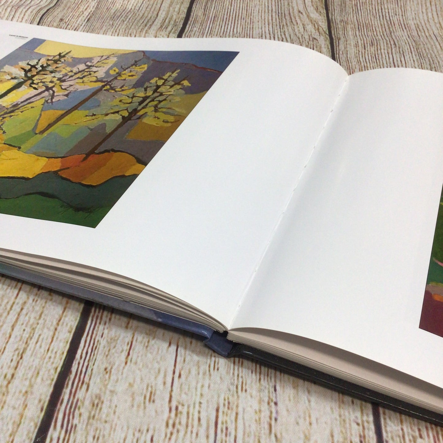 Catherine Imhof-Cardinal: A Life in Colour by Robin Jackson (2011) 9780954061821