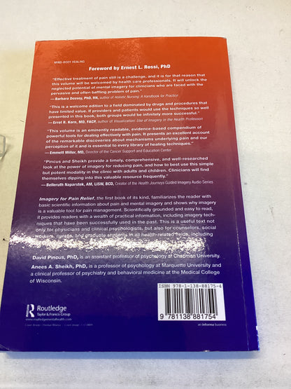 Imagery For Pain Relief A Scientifically Grounded Guidebook For Clinicians David Pincus and Anees A Sheikh