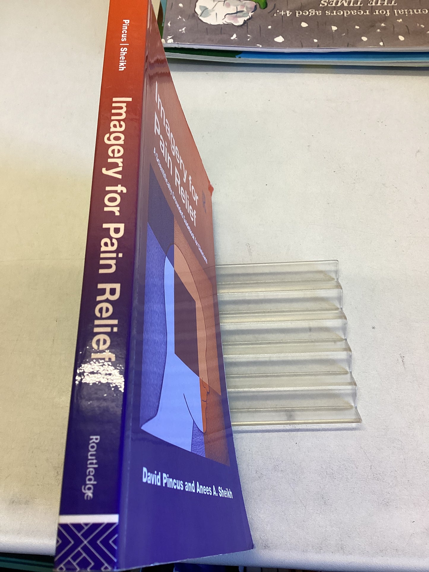 Imagery For Pain Relief A Scientifically Grounded Guidebook For Clinicians David Pincus and Anees A Sheikh