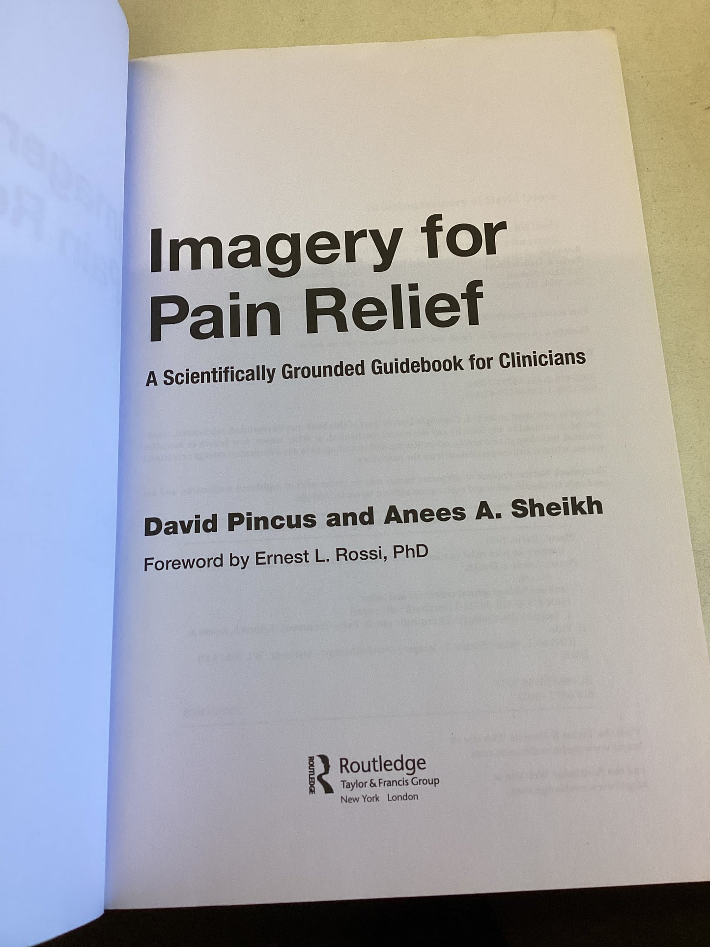 Imagery For Pain Relief A Scientifically Grounded Guidebook For Clinicians David Pincus and Anees A Sheikh