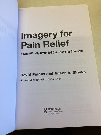 Imagery For Pain Relief A Scientifically Grounded Guidebook For Clinicians David Pincus and Anees A Sheikh