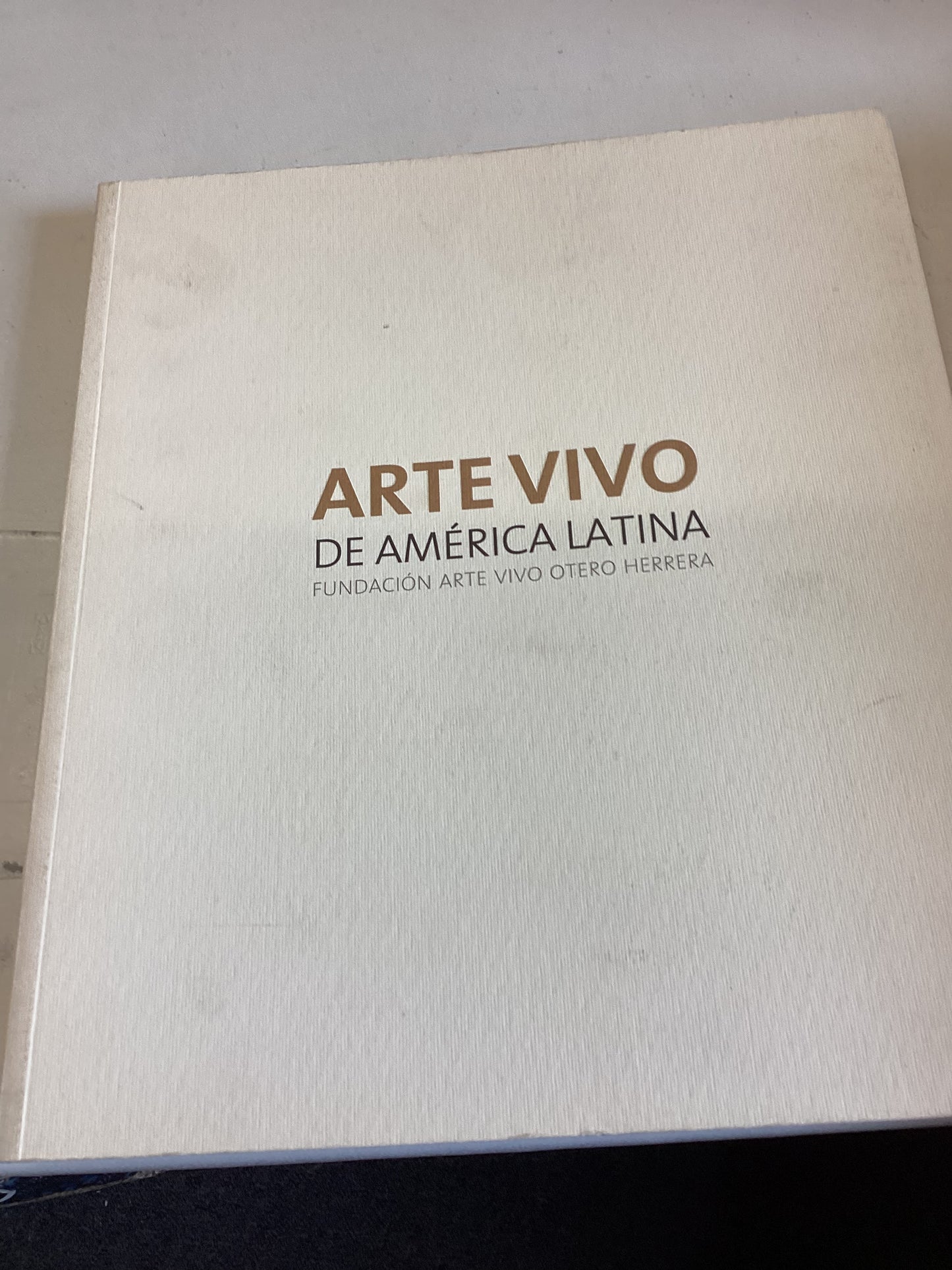 Arte Vivo De America Latina Fundacion Arte Vivi Otero Herrera