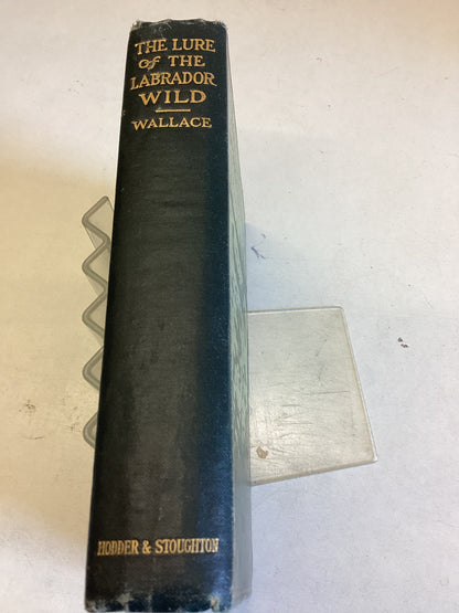 The Lure of The Labrador Wild By Dillon Wallace First Edition  with Fold Out Maps