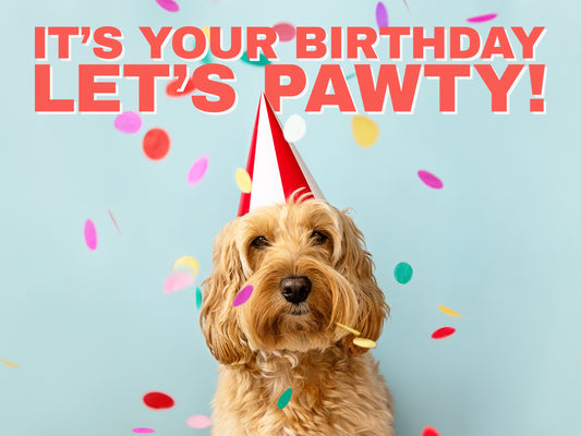 Photo of a biscuit coloured shaggy dog with a smiley face. It's wearing red and white party hat and there's confetti falling. The bold text above reads ' It's your birthday, Let's Pawty!'