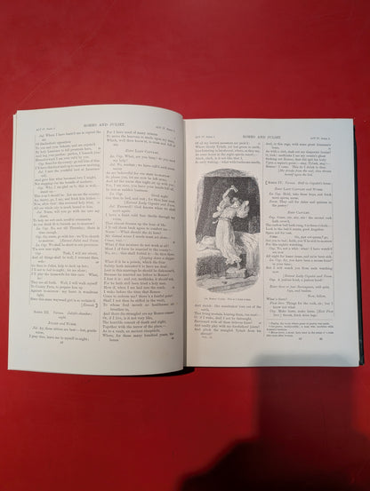 The Works of Shakespeare Vol 1-3, 5-14 - Graham Publishing