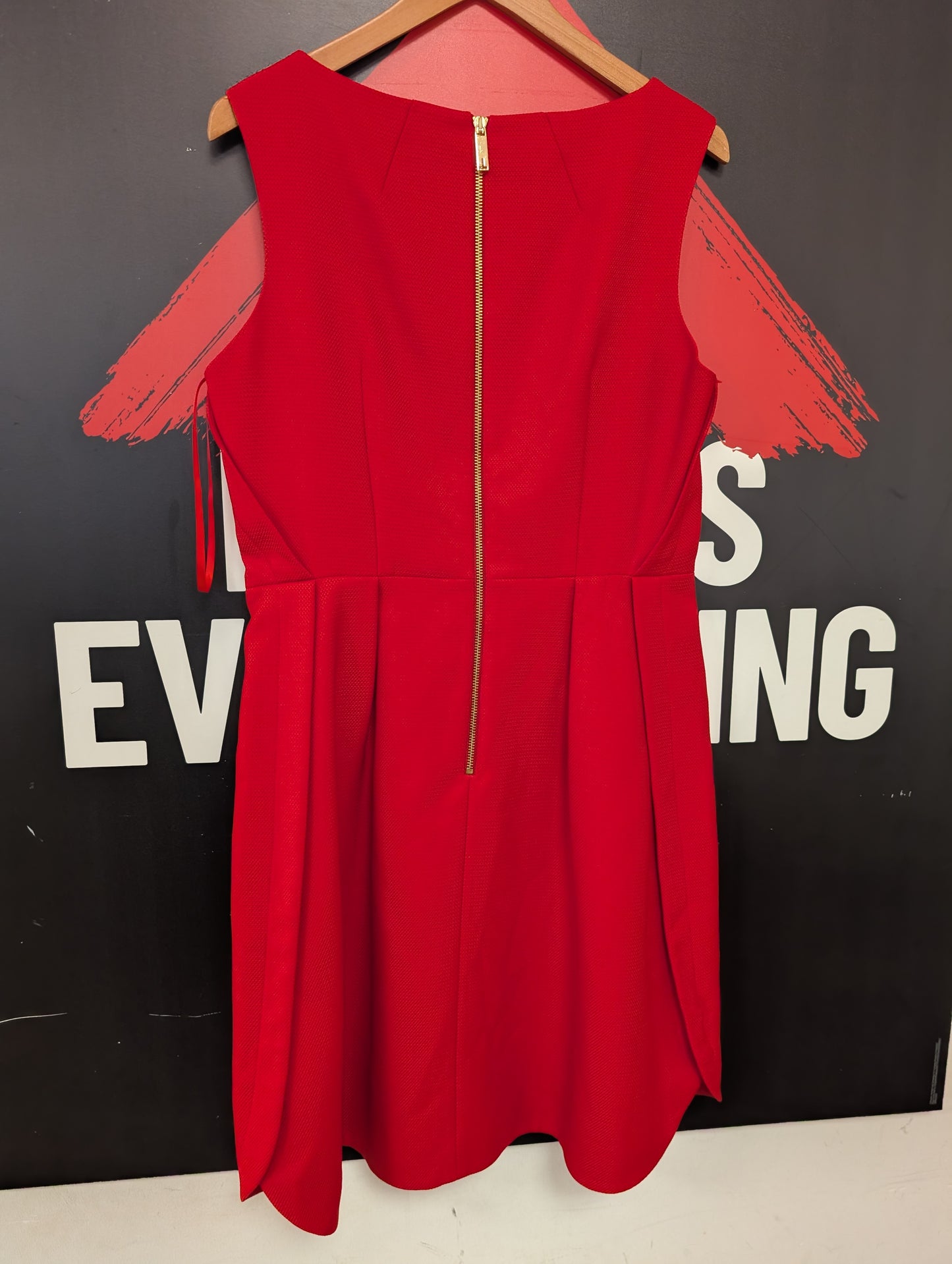 BNWT Ted Baker Red Nuhad Bow Dress Size 14 (4)