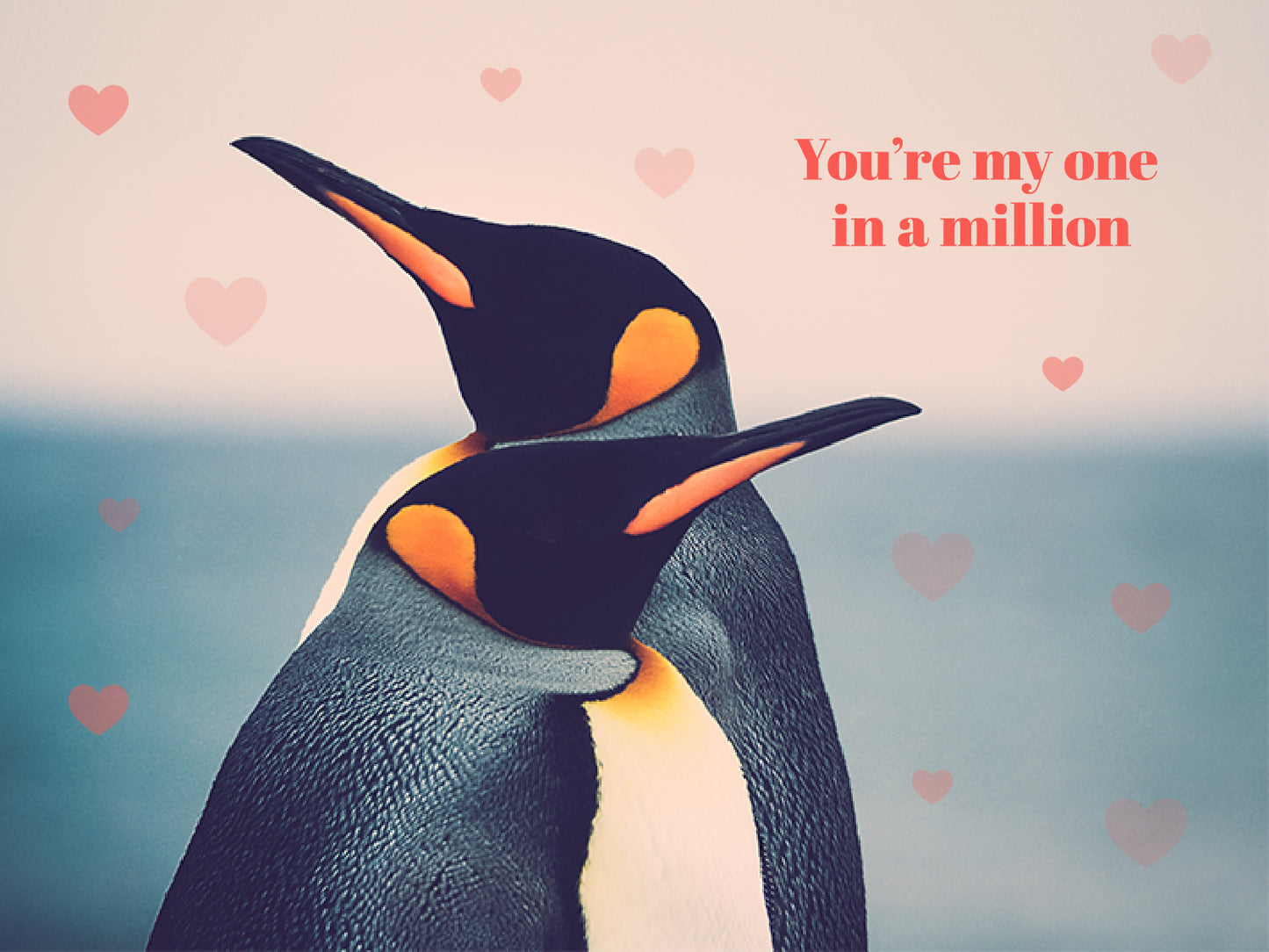 Still image. A photograph of two Emperor penguins with love hearts surrounding them. Text reads You're my one in a million.'