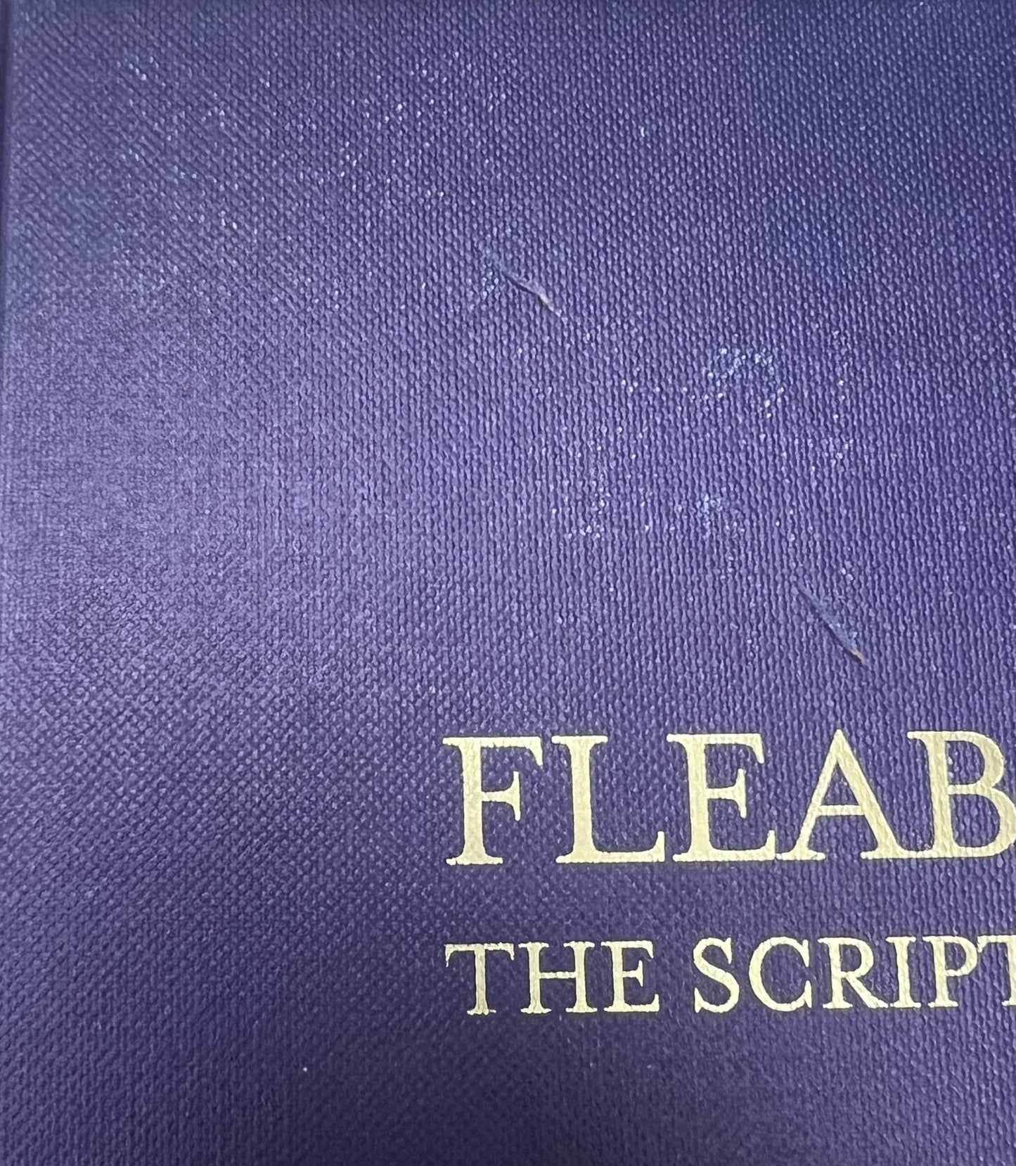 Fleabag The Scriptures Phoebe Waller-Bridge