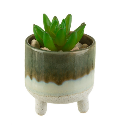 Green mojave planter with succulent inside against a white background