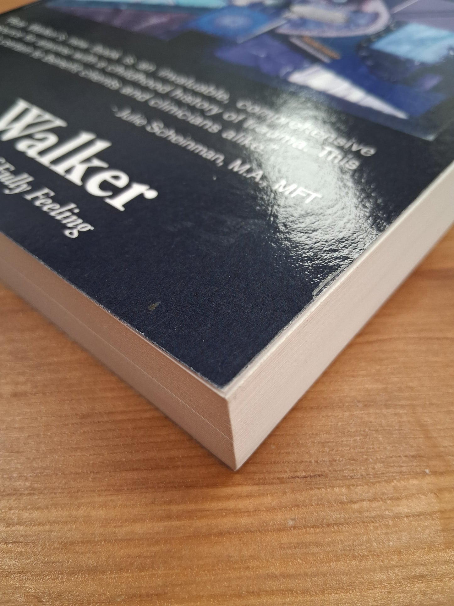 Complex PTSD From Surviving To Thriving  Soft Back Book By Pete Walker