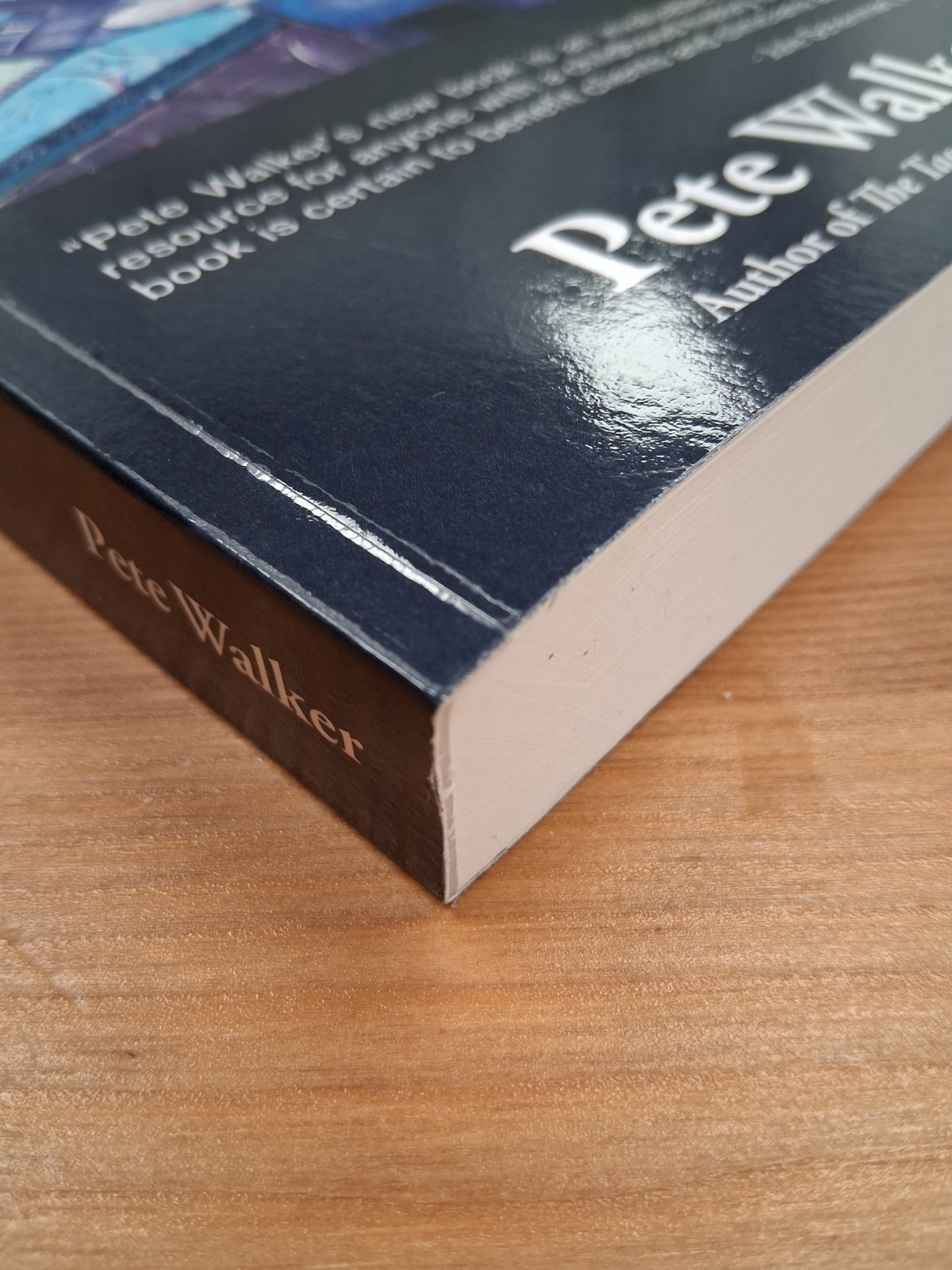 Complex PTSD From Surviving To Thriving  Soft Back Book By Pete Walker