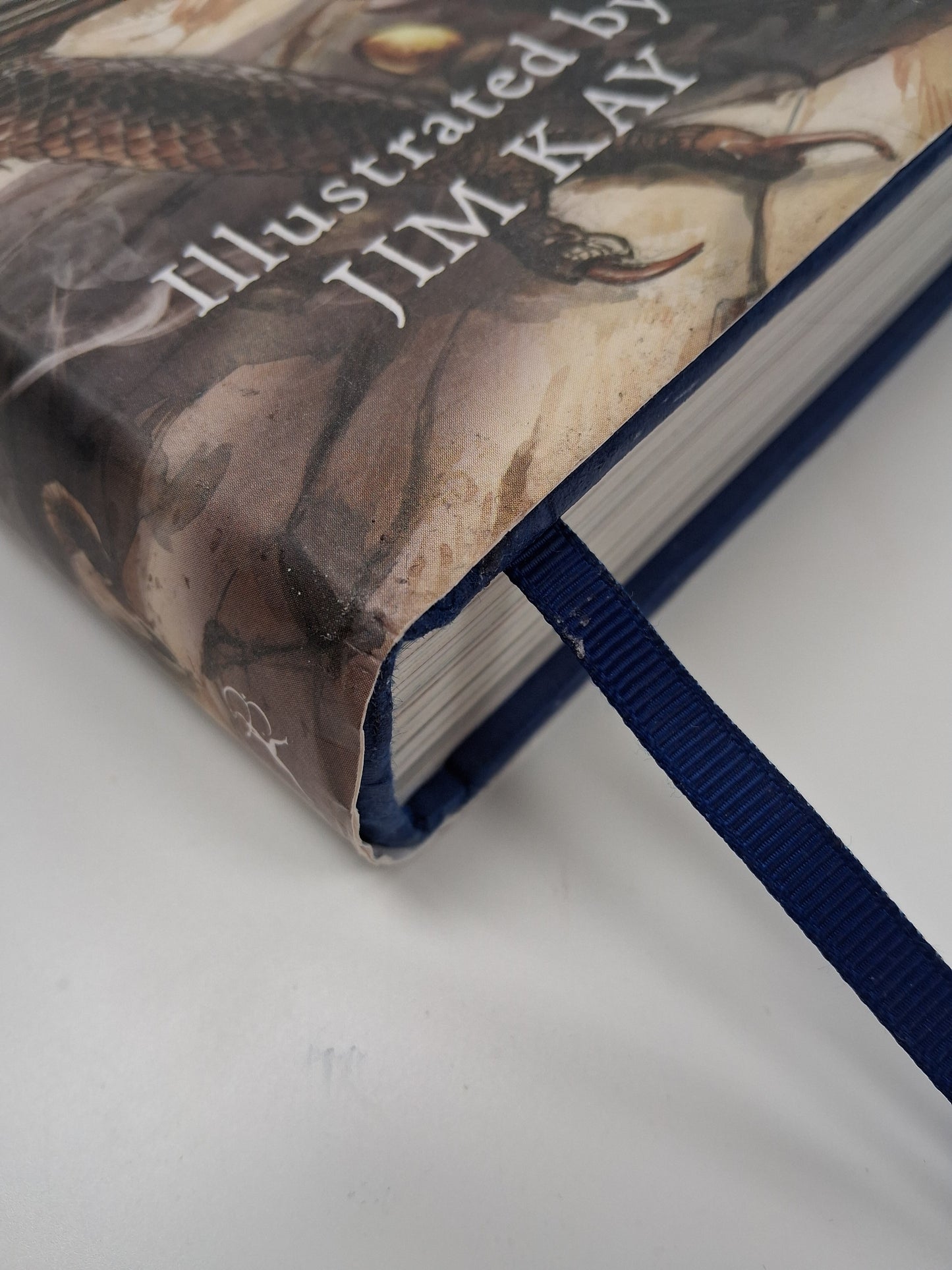 Harry Potter And The Goblet Of Fire 2019 Large Hardback Book