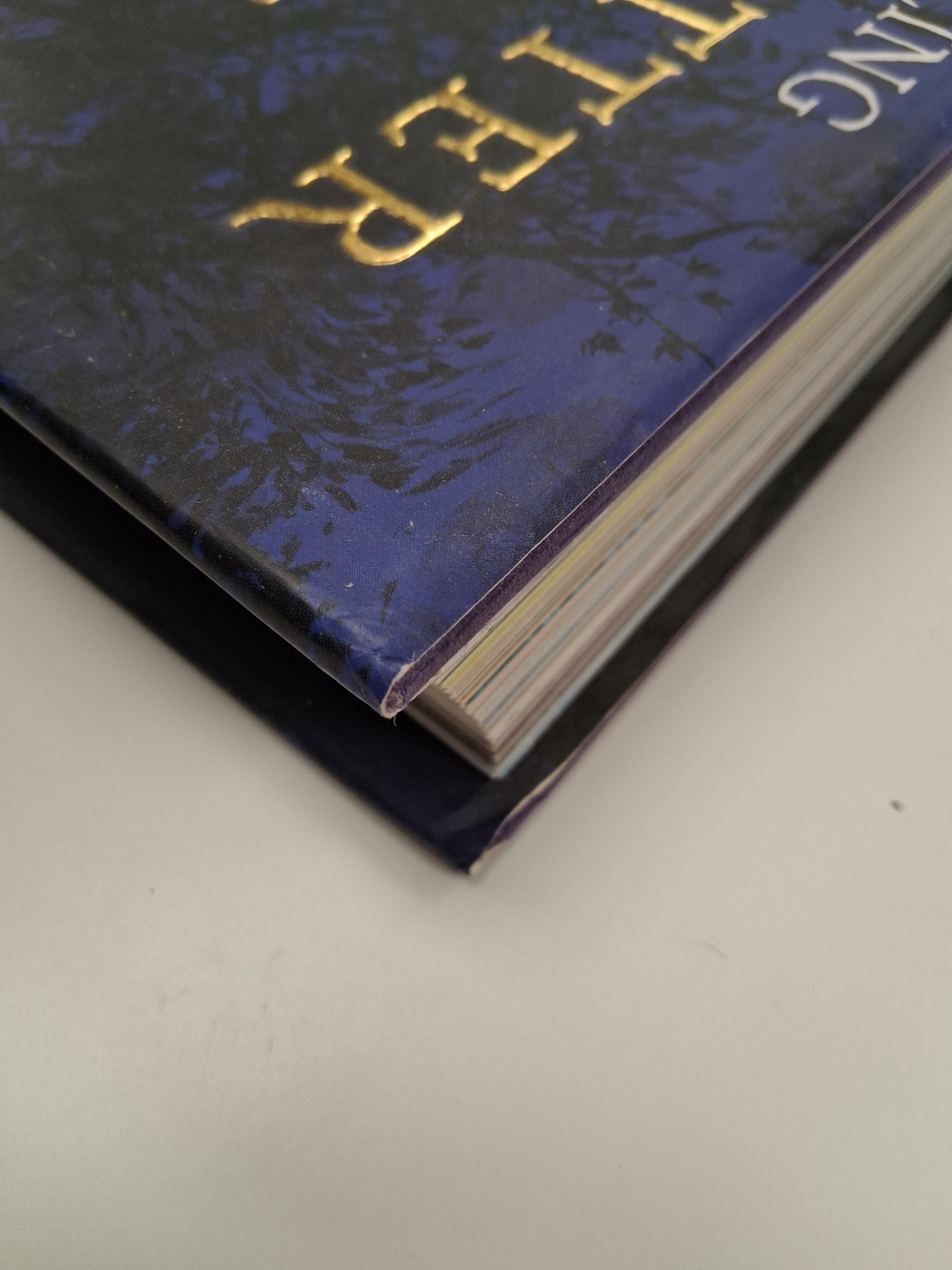 Harry Potter And The Prisoner Of Azkaban 2017 Large Hardback Book