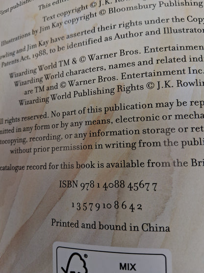 Harry Potter And The Goblet Of Fire 2019 Large Hardback Book