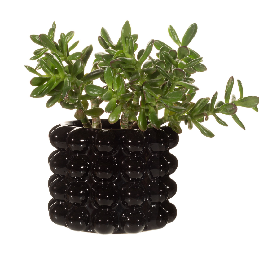 shiny black bobble planter with a plant inside it
